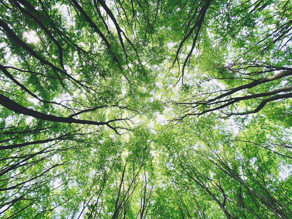 Opus Form UyyRJA2an4o Unsplash 1